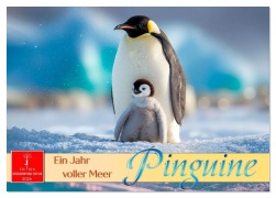 Cover-Bild zum Titel 'Pinguine - ein Jahr voller Meer (Tischkalender 2026 DIN A5 quer), CALVENDO Monatskalender' von 'Roder Roder'
