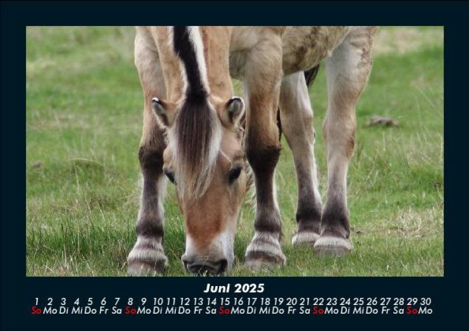 InsideView 10