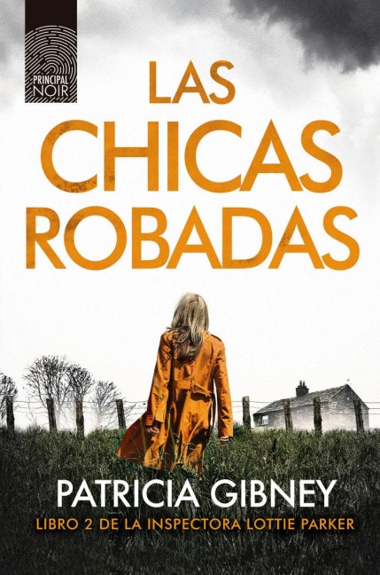 Chicas Robadas - Patricia Gibney