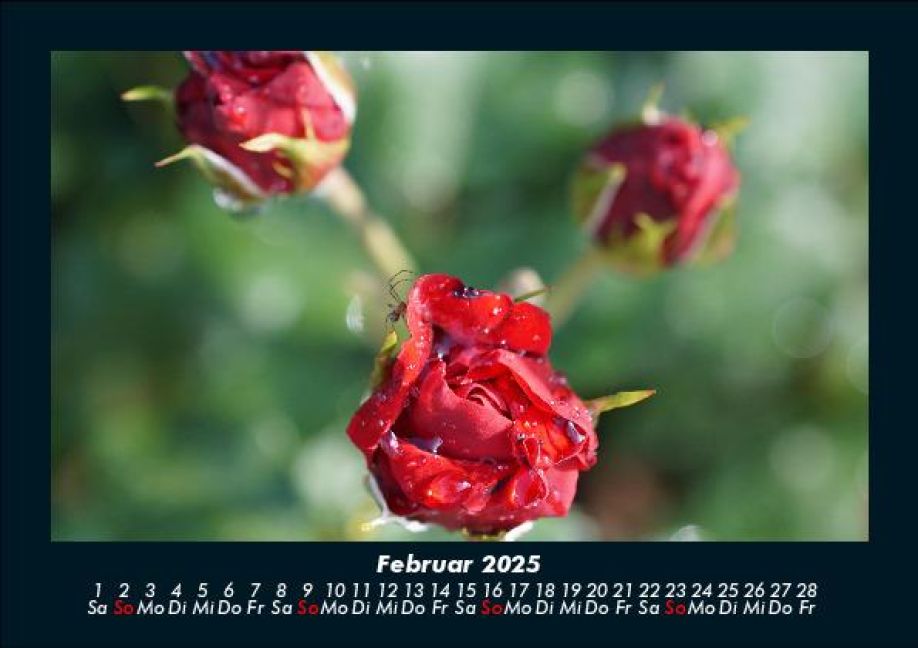 InsideView 6