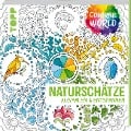 Cover-Bild zum Titel 'Colorful World - Naturschätze' von 'Helga Altmayer, Natascha Pitz, Ursula Schwab'
