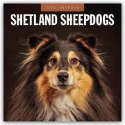 Cover-Bild zum Titel 'Shetland Sheepdogs - Sheltie 2026 - 16-Monatskalender' von 'Robin Red'