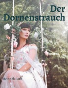 Cover-Bild zum Titel 'Der Dornenstrauch' von 'Heinrich Raab'