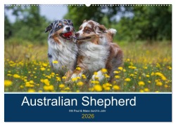 Cover-Bild zum Titel 'Australian Shepherd 2026 (Wandkalender 2026 DIN A2 quer), CALVENDO Monatskalender' von 'Annett Mirsberger'