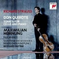 Cover-Bild zum Titel 'Don Quixote & Cellosonate op.6' von 'Hornung/Rivinius/Sym. Orchorchester des BR/Haitink'
