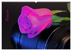 Cover-Bild zum Titel 'Flower (Wandkalender 2026 DIN A2 quer), CALVENDO Monatskalender' von 'Andrea Damm'