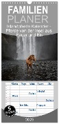 Familienplaner 2025 - Islandpferde Kalender - Pferde von der Insel aus Feuer und Eis mit 5 Spalten (Wandkalender, 21 x 45 cm) CALVENDO - Alexandra Voth