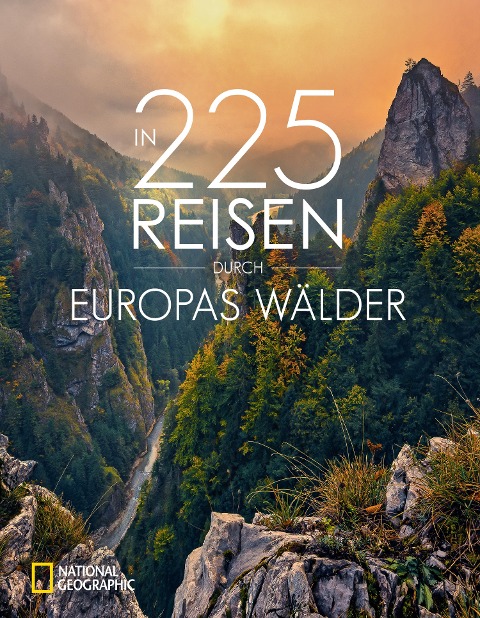 In 225 Reisen durch Europas Wälder - Jörg Berghoff, Stefan Hefele, Lisa Bahnmüller, Silke Martin