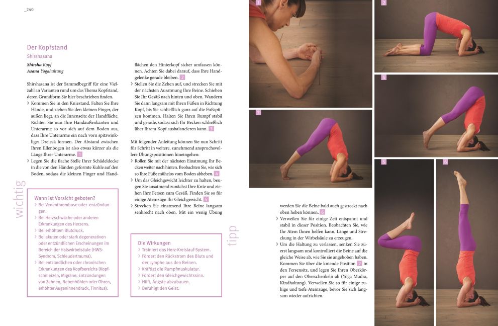InsideView 8