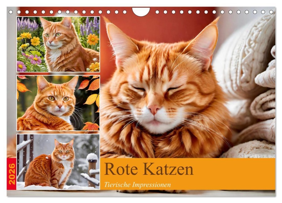 Rote Katzen (Wandkalender 2026 DIN A4 quer), CALVENDO Monatskalender - Steffani Lehmann