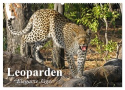 Cover-Bild zum Titel 'Leoparden. Elegante Jäger (Wandkalender 2026 DIN A2 quer), CALVENDO Monatskalender' von 'Elisabeth Stanzer'