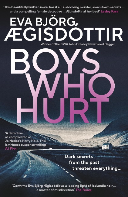 Boys Who Hurt - Eva Björg Ægisdóttir