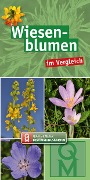 Cover-Bild zum Titel 'Wiesenblumen' von ''