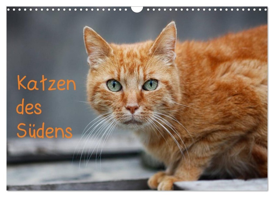 Katzen des Südens (Wandkalender 2027 DIN A3 quer), CALVENDO Monatskalender - Claudia Möckel Lucy L!u