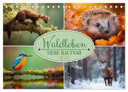 Cover-Bild zum Titel 'Waldleben - Tiere hautnah (Tischkalender 2027 DIN A5 quer), CALVENDO Monatskalender' von 'Melanie Viola'