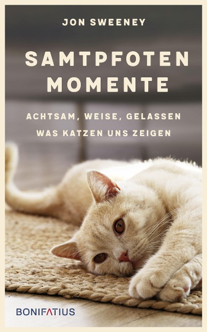 Samtpfotenmomente - Jon M. Sweeney