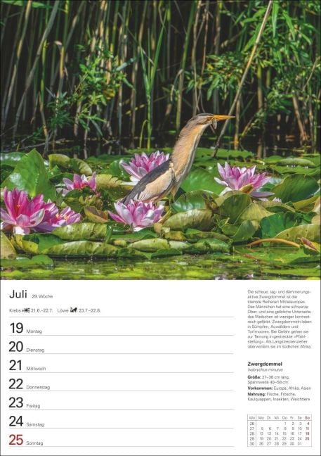 InsideView 10