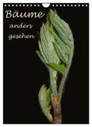 Cover-Bild zum Titel 'Bäume anders gesehen (Wandkalender 2026 DIN A4 hoch), CALVENDO Monatskalender' von 'Leon Uppena (Gdt)'
