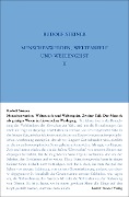 Menschenwerden, Weltenseele und Weltengeist. Der Mensch als geistiges Wesen im historischen Werdegang - Rudolf Steiner