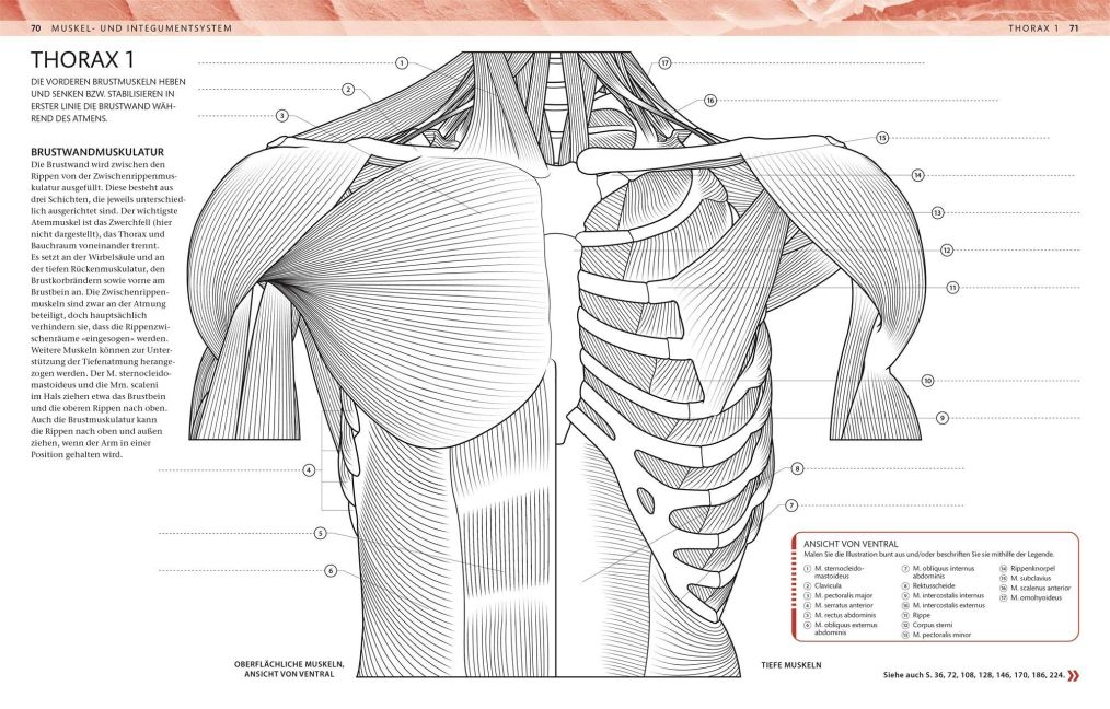 InsideView 4