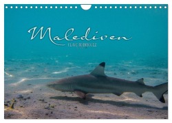 Cover-Bild zum Titel 'Unterwasserwelt der Malediven I (Wandkalender 2026 DIN A4 quer), CALVENDO Monatskalender' von 'Clave Rodriguez Photography'