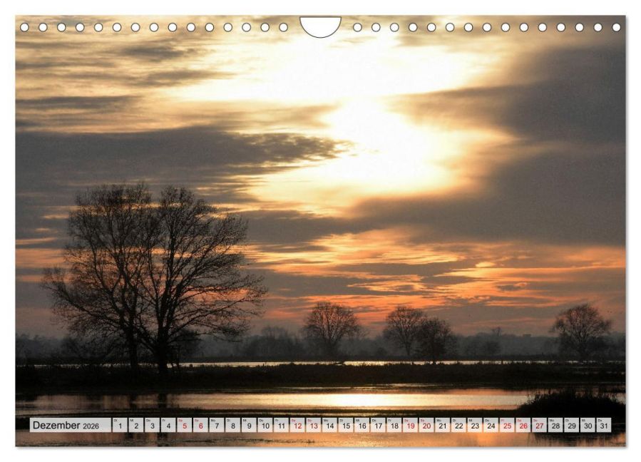 InsideView 4