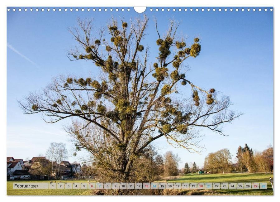 InsideView 7