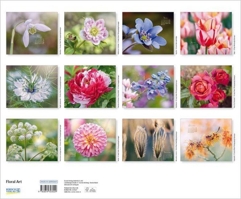 InsideView 13