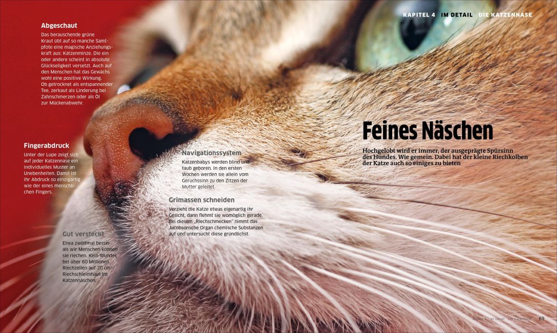 InsideView 1