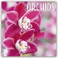 Orchids - Orchideen 2024 - 16-Monatskalender - Avonside Publishing Ltd