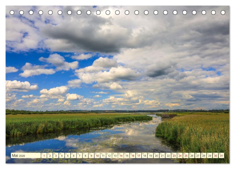 InsideView 10
