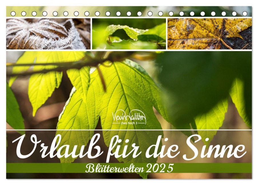 Urlaub für die Sinne - Blätterwelten (Tischkalender 2025 DIN A5 quer), CALVENDO Monatskalender - Kevin Walther