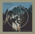 Cover-Bild zum Titel 'Gratitude' von 'Ockra'