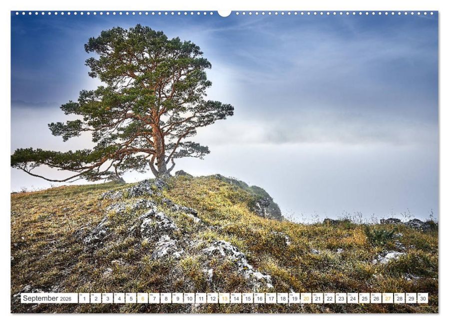InsideView 13
