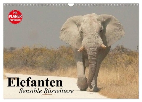 Elefanten. Sensible Rüsseltiere (Wandkalender 2025 DIN A3 quer), CALVENDO Monatskalender - Elisabeth Stanzer