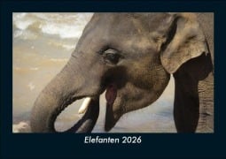 Cover-Bild zum Titel 'Elefanten 2026 Fotokalender DIN A5' von 'Tobias Becker'