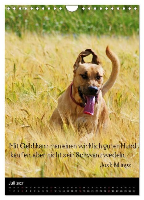 InsideView 12