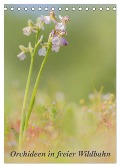Orchideen in freier Wildbahn (Tischkalender 2024 DIN A5 hoch), CALVENDO Monatskalender - Peter Danis