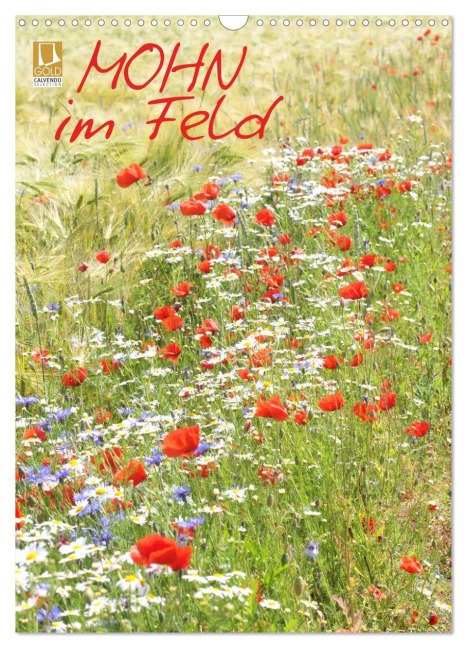 Mohn im Feld (Wandkalender 2026 DIN A3 hoch), CALVENDO Monatskalender - Gisela Kruse