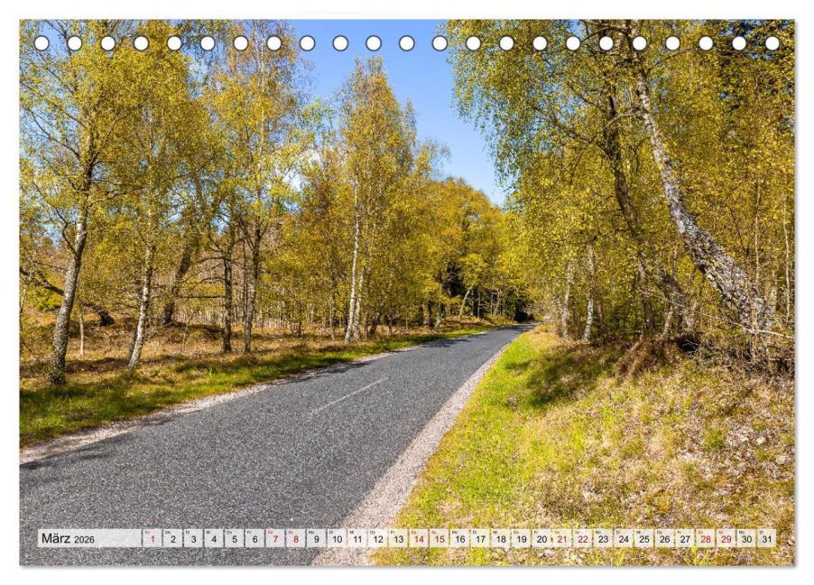 InsideView 8