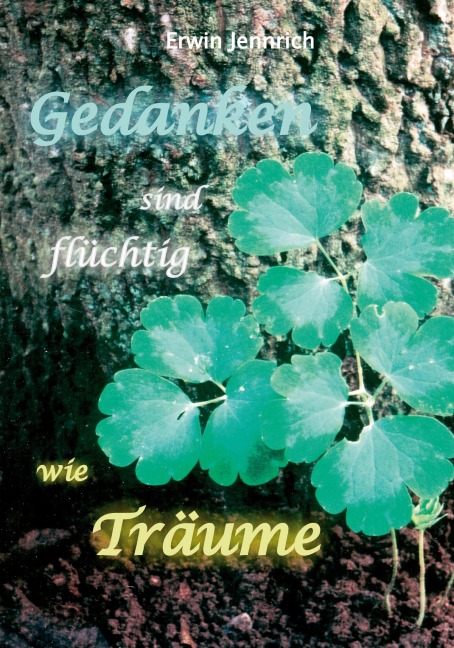 Gedanken sind flüchtig wie Träume - Erwin Jennrich