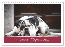 Cover-Bild zum Titel 'Hunde-Spruchreif (Wandkalender 2026 DIN A4 quer), CALVENDO Monatskalender' von '(C) Hundeimpressionen Anja Kiefer'