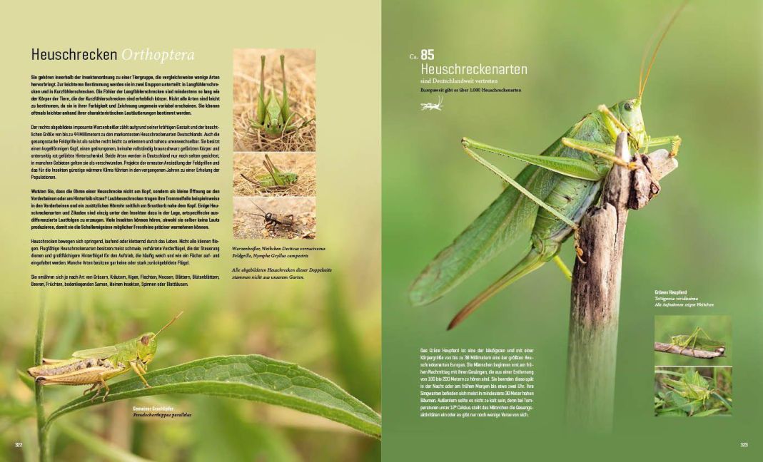 InsideView 24