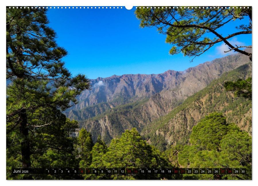 InsideView 10
