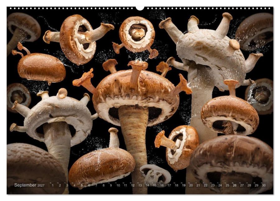 InsideView 14