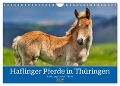 Haflinger Pferde in Thüringen (Wandkalender 2025 DIN A4 quer), CALVENDO Monatskalender - Torsten Irmer