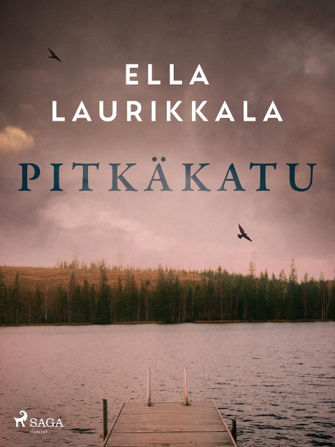 Pitkäkatu - Ella Laurikkala