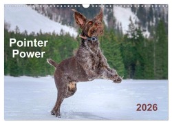 Pointer Power (Wall Calendar 2026 DIN A3 landscape), CALVENDO 12 Month Wall Calendar - Wuffclick-Pic Wuffclick-Pic
