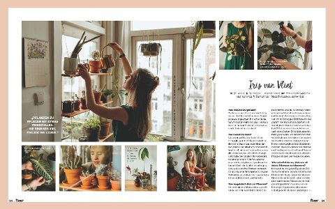 InsideView 3