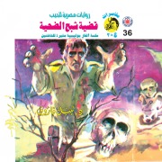 Cover-Bild zum Titel 'The case of the ghost of the victim' von 'Nabil Farouk'